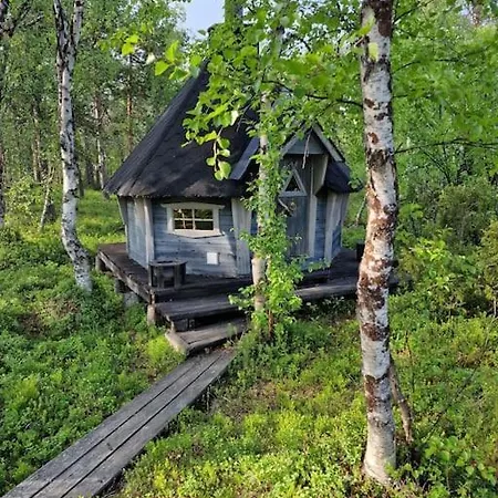 Villa Magical House